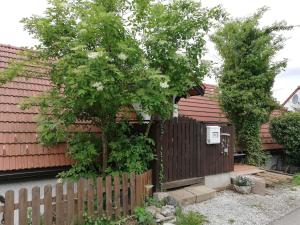 a fence in front of a house with a tree at Zimmer auf dem Land in Sankt Margarethen an der Raab