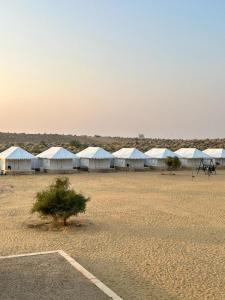 un grupo de tiendas blancas en un campo desierto en Jaisan Boutique Desert Camp Jaisalmer, en Jaisalmer