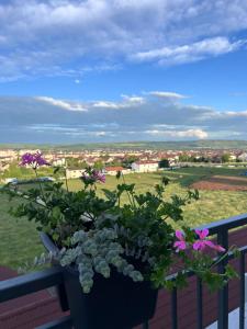 a pot of flowers on a balcony with a view at APARTAMENT PANORAMIC in Alba Iulia