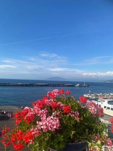 a bouquet of flowers on a balcony overlooking the water at La Baia di Napoli in Capri