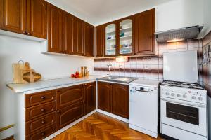 Kuchyň nebo kuchyňský kout v ubytování Apartmány u Vlašského dvora