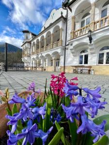 Nespecifikovaný výhled na hory nebo výhled na hory při pohledu z aparthotelu
