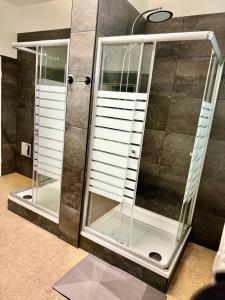 een douche met twee spiegels in de badkamer bij Reform Pension in Maagdenburg