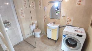 a small bathroom with a washing machine and a sink at Vila Florelena in Năvodari