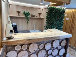 a kitchen with a counter with a bunch of logs at Guest House Rila in Govedartsi +51 photos