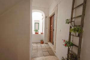 Kép Sotto il Castello B&B szállásáról Rodi Garganicóban a galériában
