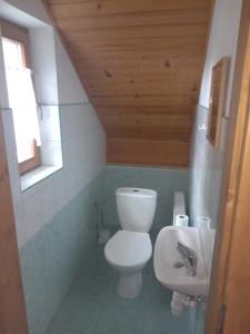 a bathroom with a toilet and a sink at Chata na samote in Prašice +3 photos
