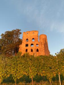 Fotografie z fotogalerie ubytování Hotel Scheid v destinaci Schriesheim