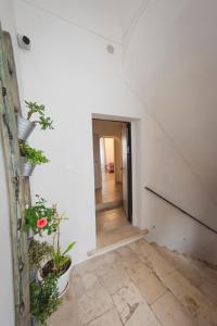 Kép Sotto il Castello B&B szállásáról Rodi Garganicóban a galériában