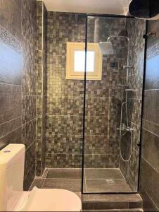 a bathroom with a shower with a toilet and a window at Elite Boutique Hotel in Cairo
