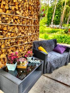 Zahrada ubytování Guest house ''Stropiki'' with Sauna and hot Tub