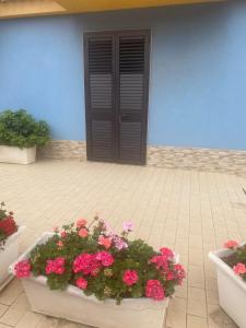 niebieski budynek z kwiatami przed drzwiami w obiekcie Hotel San Martino w mieście Cassibile