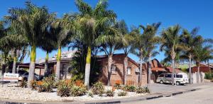 a group of palm trees in front of a house at Rainbow Guest House and Tours in Uitenhage