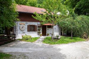 Zahrada ubytování Apartma Maln