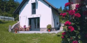 Fotografie z fotogalerie ubytování TOMO2 v destinaci Postojna