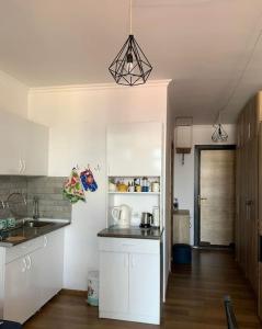 Kuchyň nebo kuchyňský kout v ubytování Flat in Bakuriani