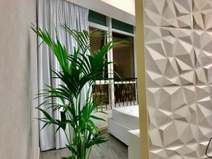a living room with a couch and a plant at Fabulous Residential Private Apartment Upgraded Full Sea & Mangrove Views Abu Dhabi - Not Hotel - 1106 in Abu Dhabi +58 photos