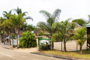 a fence with palm trees on the side of a street at Rainbow Guest House and Tours in Uitenhage