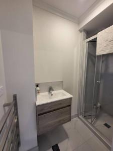 a bathroom with a sink and a shower at Nice 3 bedrooms Townhouse U5 in Hamilton