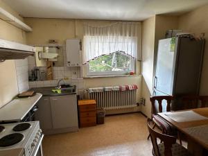 Kuchyň nebo kuchyňský kout v ubytování WG-Hostel