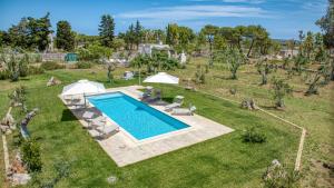 an overhead view of a swimming pool in a yard at BioMasseria Santa Lucia in Alessano