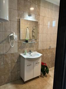 un bagno con lavandino e specchio di Turul Apartmanok Enying-Balatonbozsok a Balatonbozsok Altre 50 foto
