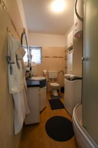 a small bathroom with a sink and a toilet at Apartman Rendulić in Ogulin