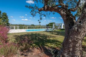 un albero in un cortile con piscina di Golden Hill Trulli with Pool - large garden for furry friends a Ceglie Messapica
