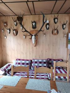 Fotografie z fotogalerie ubytování Casa Vanatorului Buzaiel v destinaci Vama Buzăului