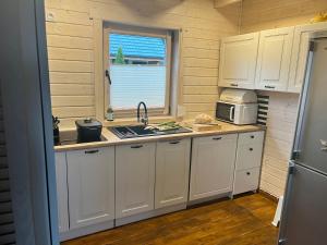 Kuchnia lub aneks kuchenny w obiekcie Domki i Apartamenty Wieleń