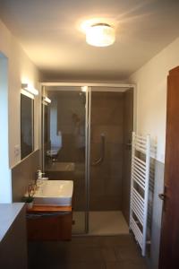 a bathroom with a shower and a sink at mösslerhof in Aldino +17 photos