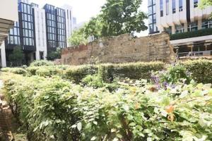 ロンドンにあるModern and Brand New Flat In Central Londonの建物前の茂みと花の庭園