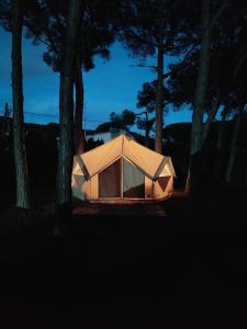 une tente éclairée dans l'obscurité près des arbres dans l'établissement Camping Pla de la Torre, à Sant Antoni de Calonge