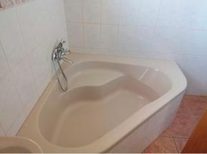 Bilik mandi di The Pele Guest House