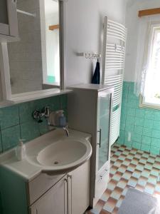 W łazience znajduje się umywalka i przeszklony prysznic. w obiekcie Lesanka w mieście Všelibice