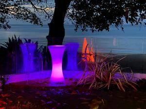 un grupo de jarrones púrpuras sentados junto a un árbol en Smell rose beach garden en Batu Ferringhi