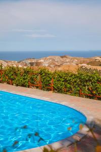 una piscina azul frente a una valla en Calàmi - Villa Romeo - Private Apartments with Pool, Seaview & Olive Grove, en Santa Caterina Dello Ionio Marina