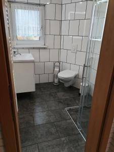 a bathroom with a toilet and a sink and a window at Pension zum Ringelberg in Erfurt