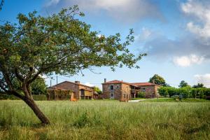 Imagen de la galería de Pazo Santa María, en Arzúa