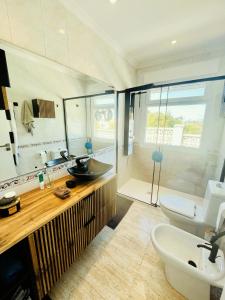 a bathroom with a sink and a toilet and a mirror at Chambre vue mer dans Villa à la Marina in Alicante