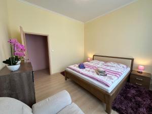 Postel nebo postele na pokoji v ubytování Apartment Zeyerova4
