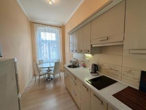 Kuchyň nebo kuchyňský kout v ubytování Apartment Zeyerova4