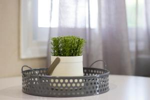 a black basket with a plant in it on a table at Potamos Studios by GERANI in Órmos