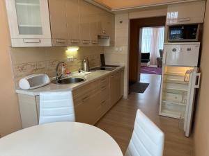 Kuchyň nebo kuchyňský kout v ubytování Apartment Zeyerova4 + 13 fotografií