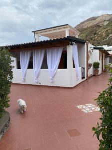 a dog standing in front of a house with curtains at Casa Arcada in Vulcano