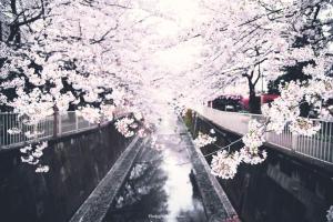 Fotografie z fotogalerie ubytování TRIP PERCH 30m2 最大5名 上北沢駅から徒歩6分 新宿から直通 デザイナー監修 v Tokiu