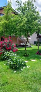 Gallery image of Villa Nur in Sarajevo