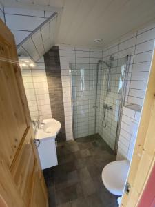 a bathroom with a shower and a toilet and a sink at Skarslia Apartment in Skarsgård