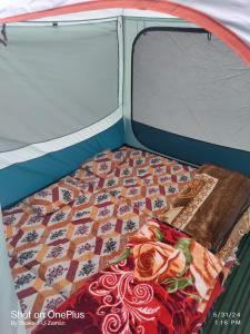 Lova arba lovos apgyvendinimo įstaigoje Brown bear camping gurez