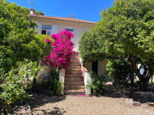 una casa con una escalera de flores rosas en Chez nicole, en Cannes